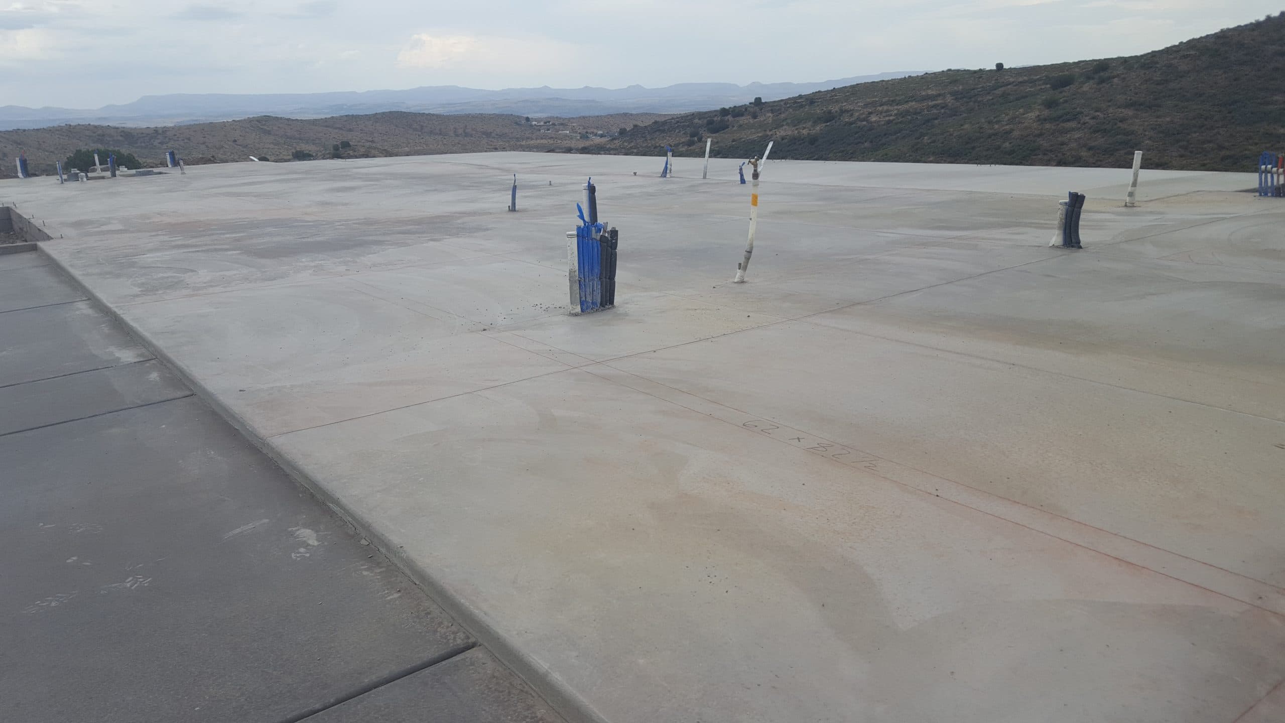 Yellow Leaf Coffee Company - Image 3